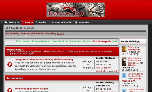 Katzen-Talk, unser Katzenforum für alle Felle
